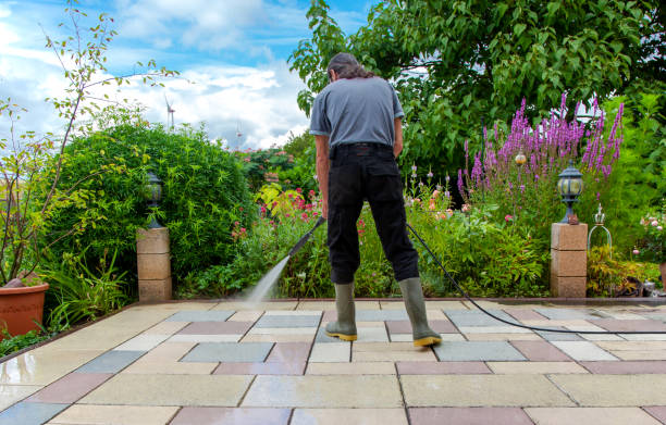 Best Animal Enclosure Cleaning  in Kamiah, ID
